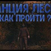 Stalker Онлайн Станция Лесная Доработано