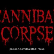 Cannibal Corpse Gutars Only