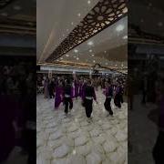 مر سليمان حفلة سوريا الحسكة