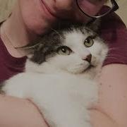 Cat Who Wouldn T Move In Shelter Loves To Hug Her Moms Now Gracie The Dodo