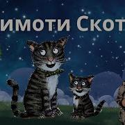 Тимоти Скотт