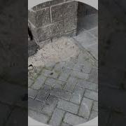 Кристаллически Похуй