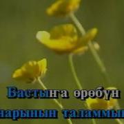 До5Оруом Эн Кэлиий