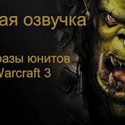 Фразы Юнитов Из Warcraft 3 Нежить Озвучка Юнитов Warcraft 3 Unit