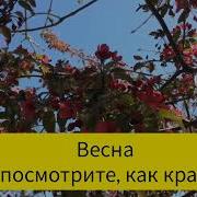 Не Покидай Меня Весна Минус