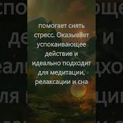 Сборник Для Релакса И Сна