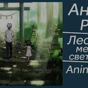 Опенинг В Лес Где Мерцают Светлячки