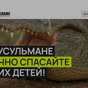 Лекции Абу Мухаммада