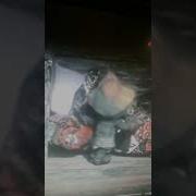 Я Чегодня Не Пойду На Работу