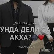 Х1Унда Визи Хьо Сел Ч1Ог1А