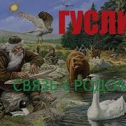 Исцеляющая Музыка Гусли