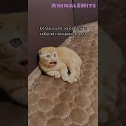 Ты Посмотри На Нее Где Эта Выдра