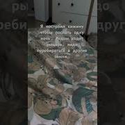 Рыцари И Гномы Песня
