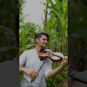 Музыка На Музыкальных Инструментах
