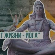 Свет Жизни Йога Путешествие К Цельности Внутреннему Спокойствию И Наивысшей Свободе