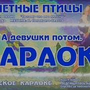 Летят Перелётные Птицы Караоке