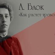 Как Растёт Тревога К Ночи