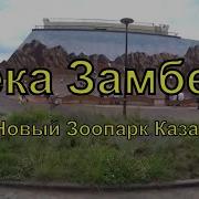 Прогулка По Зоопарку Казанский Зоопарк
