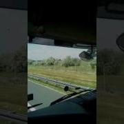Миллион Алых Роз По Польски
