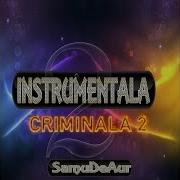 Instrumentala Criminala 2