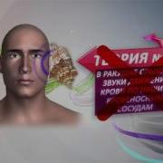 Что Действительно Мы Слышим Из Ракушек
