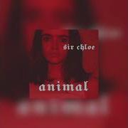 Sir Chloe Animal 1 Hour